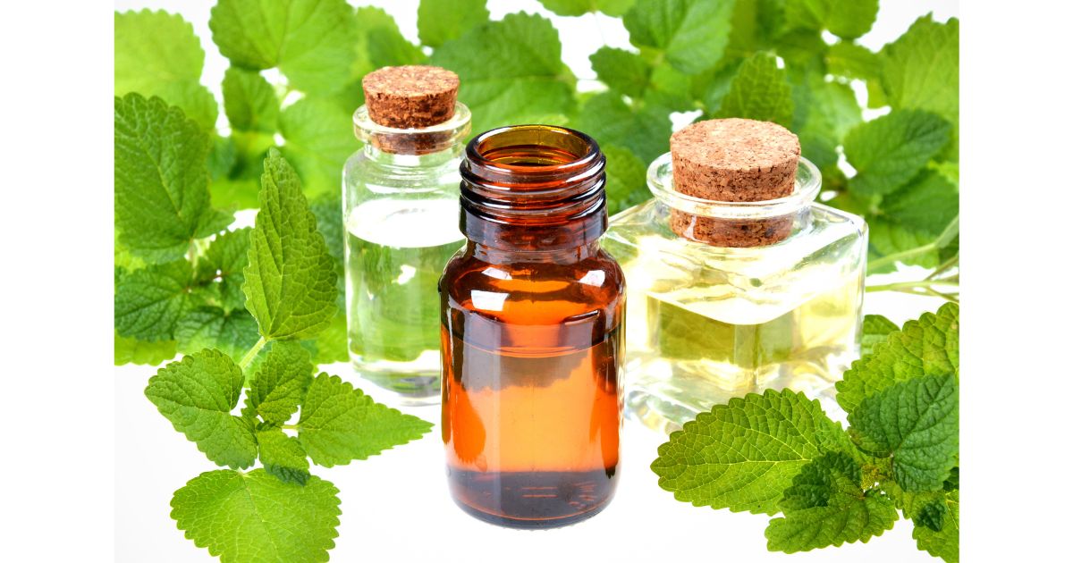 How to Make Herbal Infused Oil at Home: A Simple Beginner's Guide