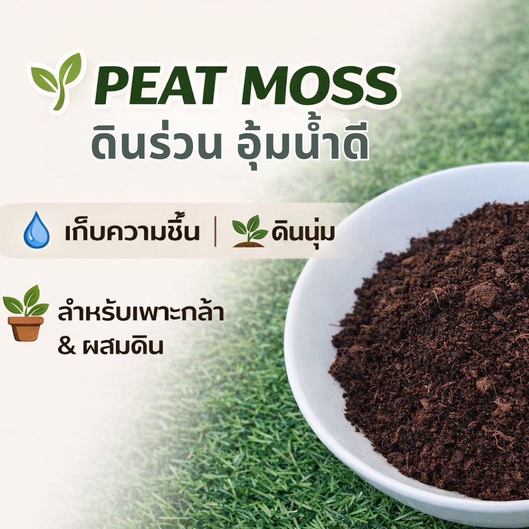 Rekyva Peat Moss