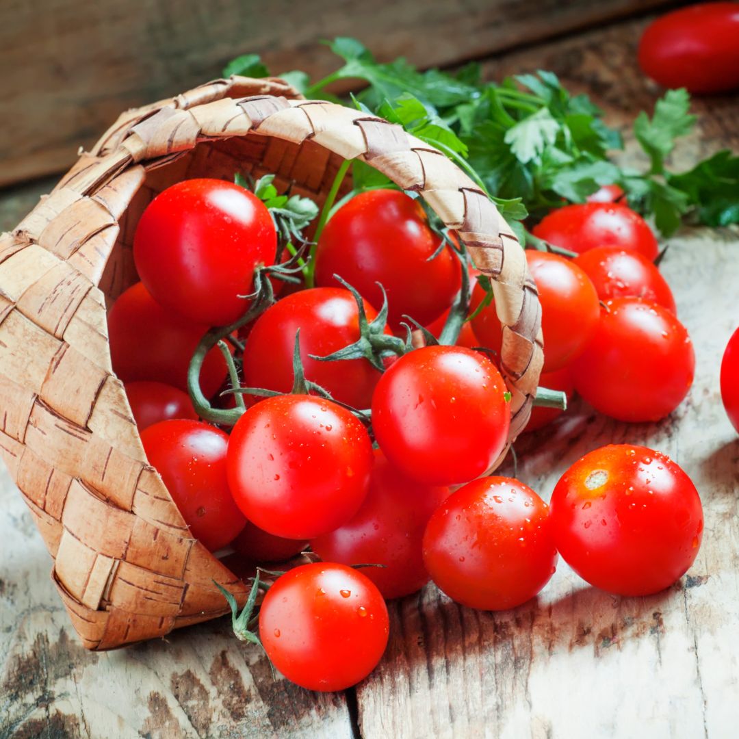 Small Cherry Tomato Seeds