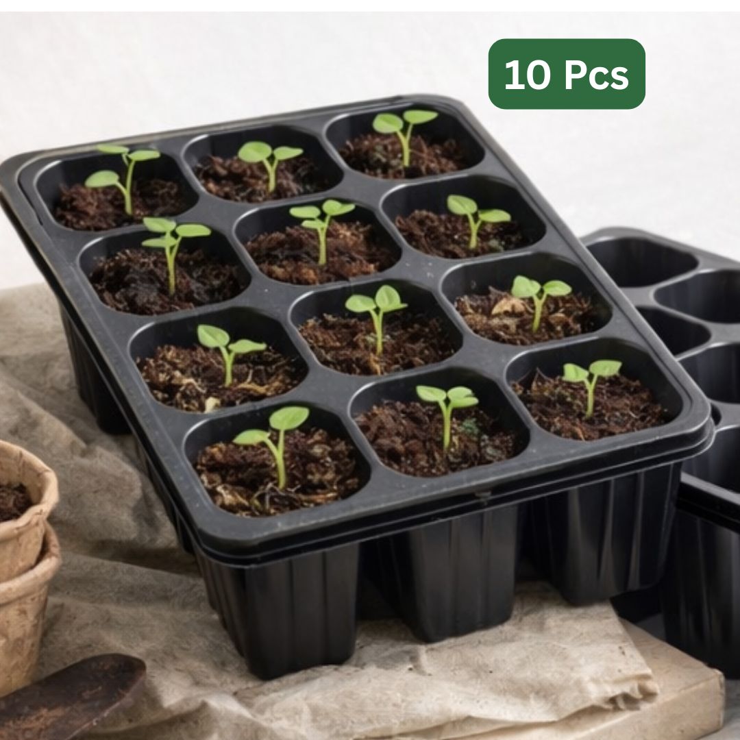 12-Cell Seedling Tray
